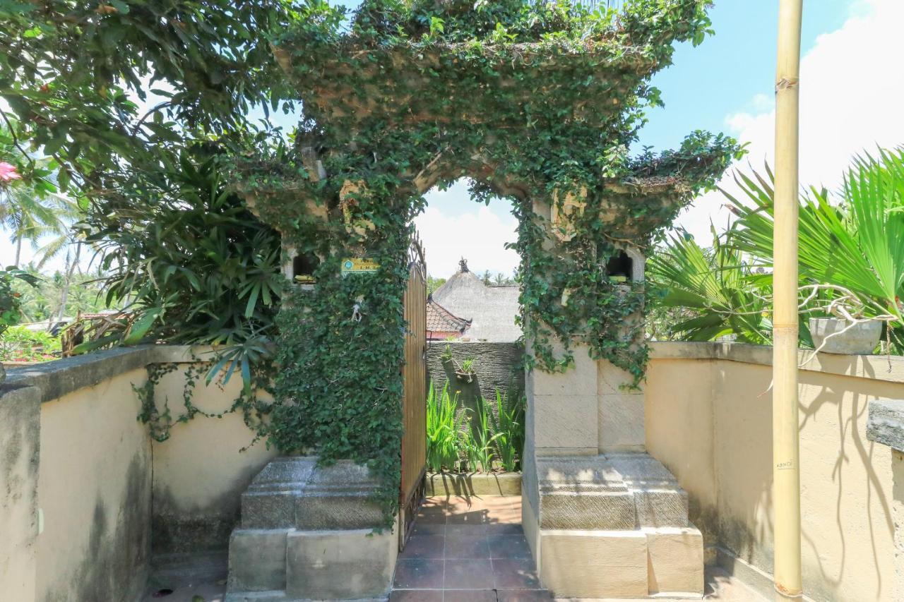 Ubud Chez Nyoman Ngoại thất bức ảnh